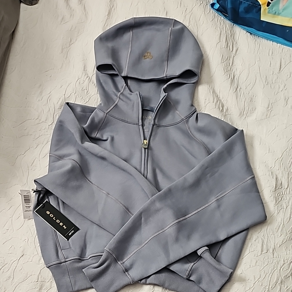 Aritzia Golden collection Hoodie